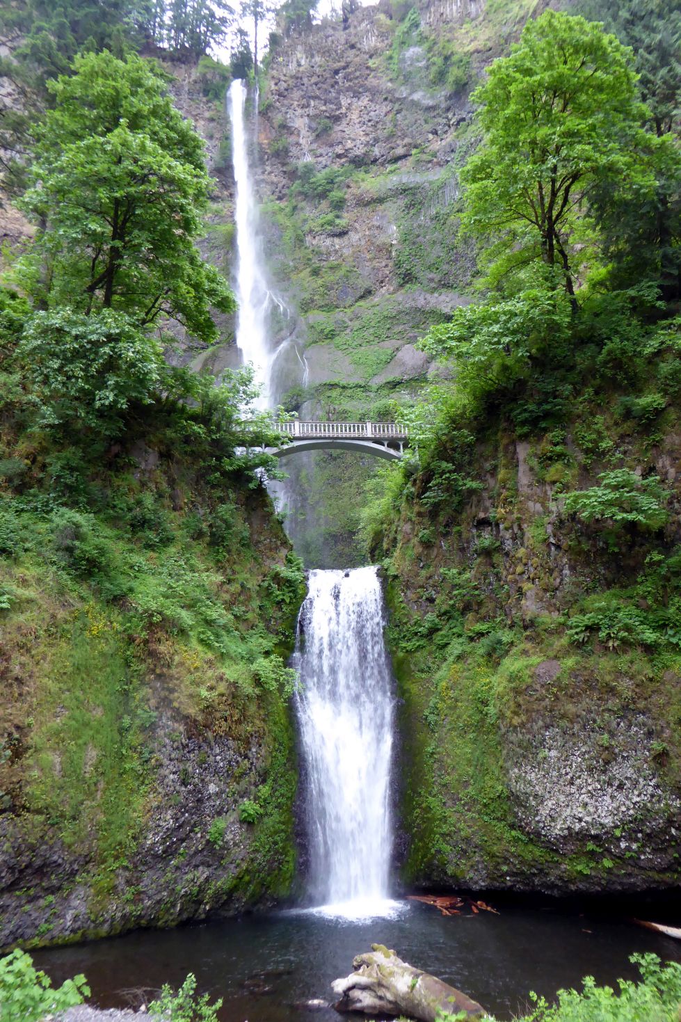 P1190378-add caption